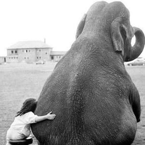 Meet your Posher, Christy